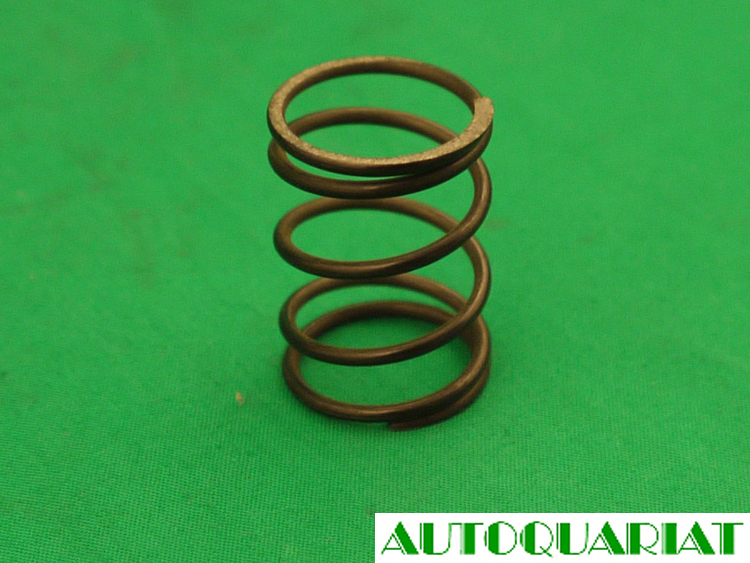 50110534 Distanzfeder kurz