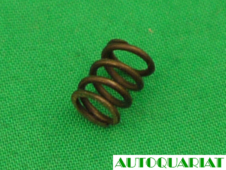 7002221131 Druckfeder Dm:5,25 7,0 lang