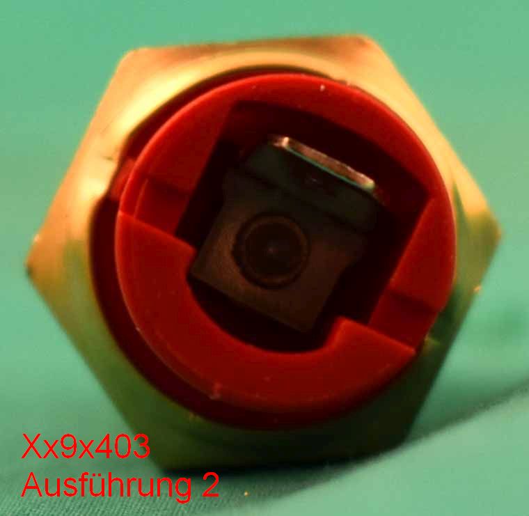 Xx9x403_c_kl Thermofühler (Ausführung 2)