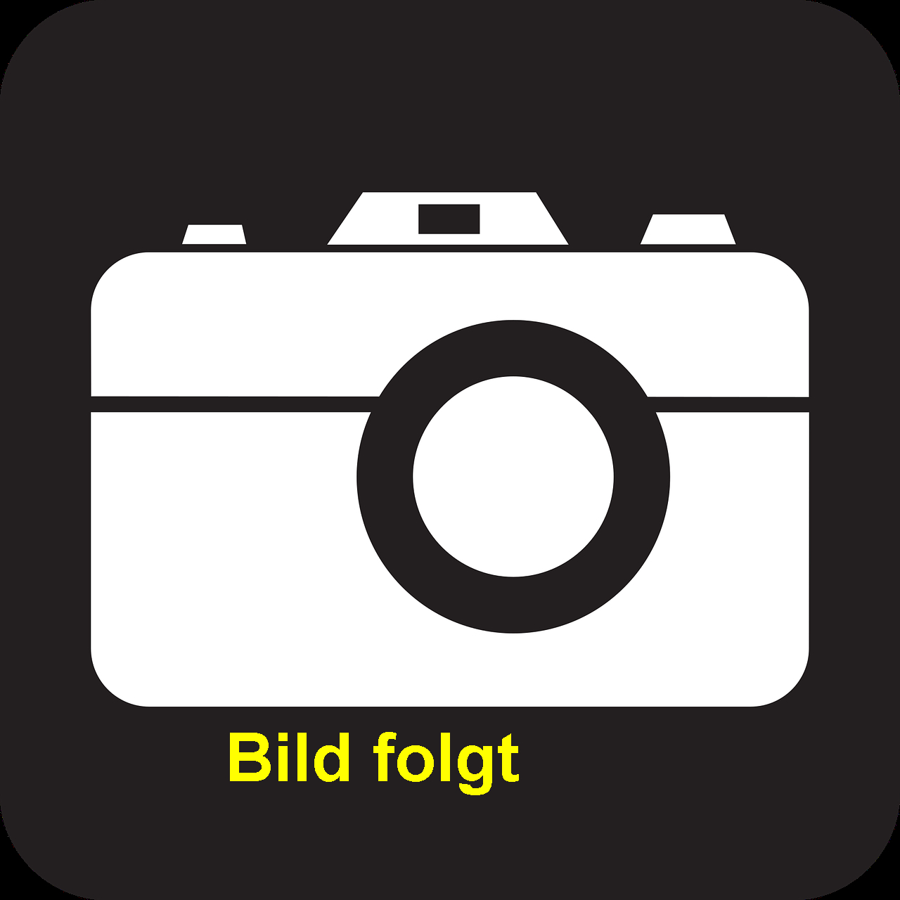 Lichtmaschine Topolino B,C  im Austausch