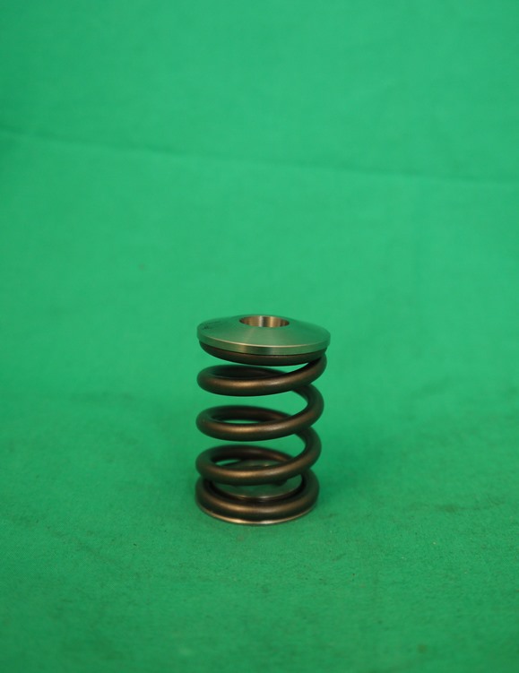 1x1x342_kl Satz Sportventilfedern