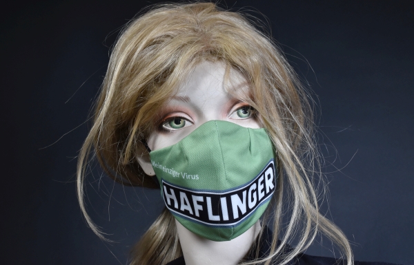 3x15x701_klaoq0u8lKcZTxV Schutzmaske Steyr-Puch Haflinger