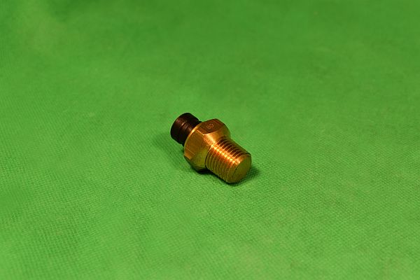 3007588920_a_kl Thermoschalter 124 Sport bis 76